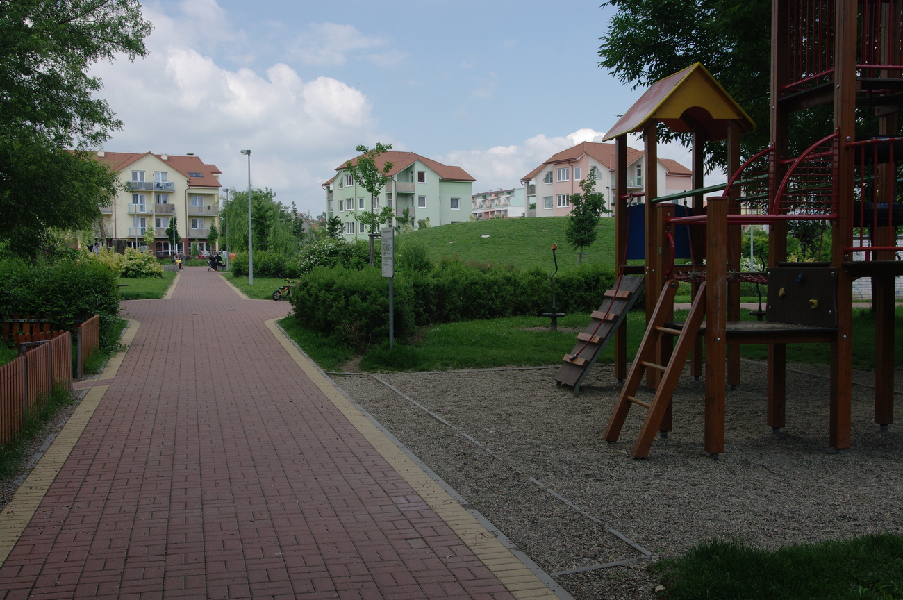 IMGP5870