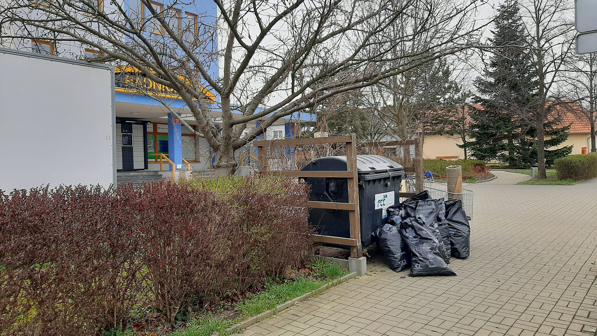 277661114 2146199608877211 6305930620539152228 n